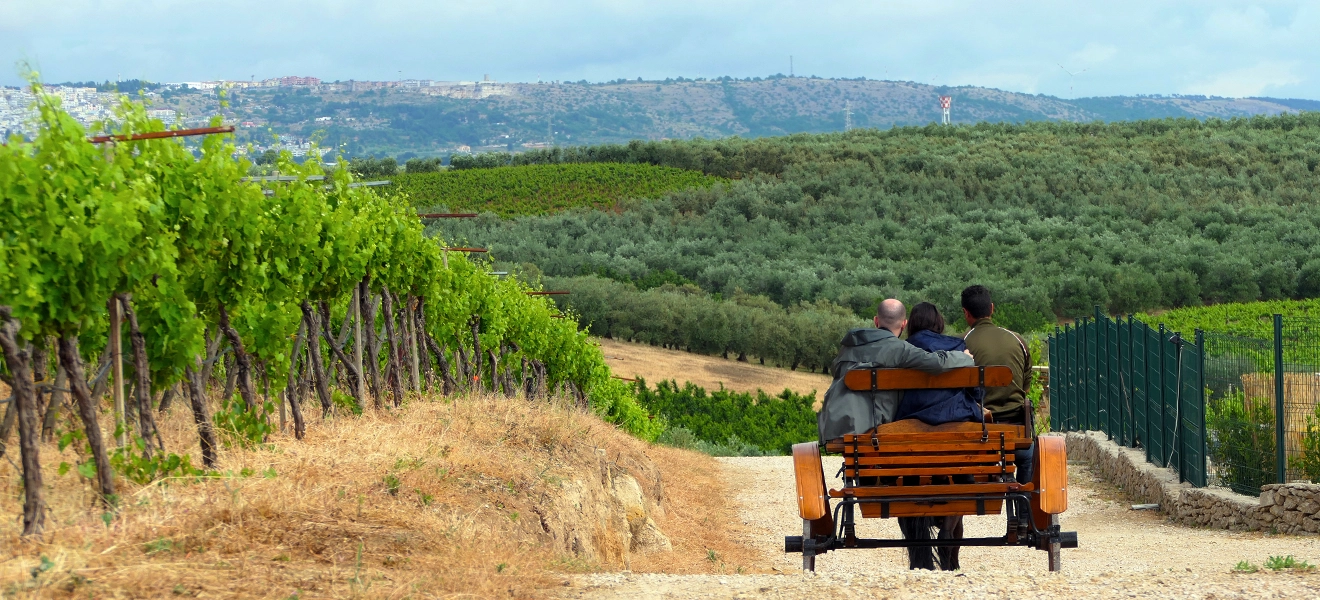 pugliautentica-calesse-vigneto-percorsi-emozionali.webp